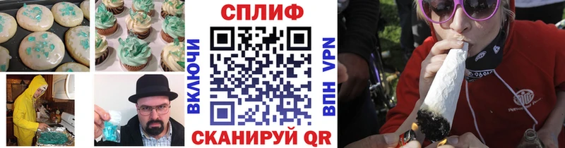 что такое   Ачхой-Мартан  Canna-Cookies конопля 