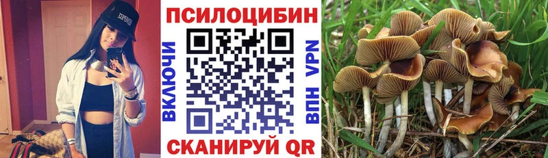 блэк спрут   Ачхой-Мартан  Псилоцибиновые грибы Magic Shrooms 